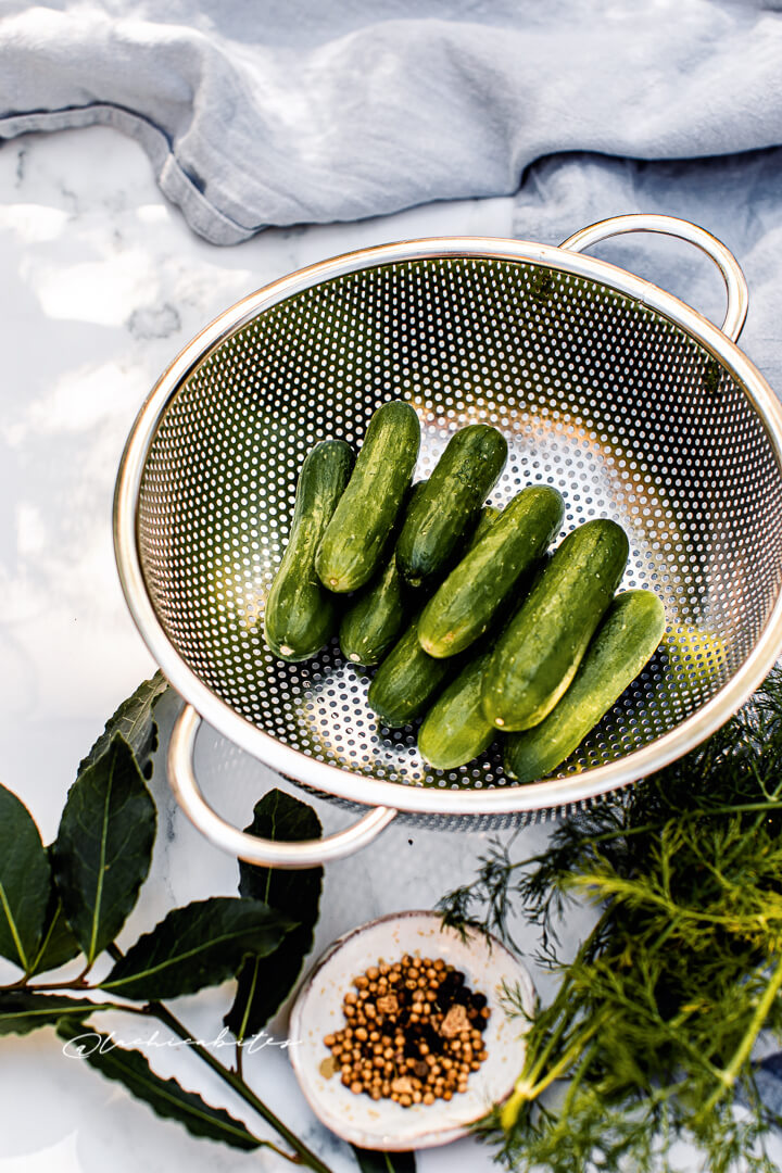 Small cucumbers and seeds for homemade pickles