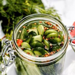 Best quick and easy homemade refrigerated pickles with seeds and dill. recipe and food photography @lachicabites